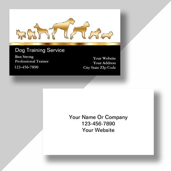 Classy Modern Dog Trainer