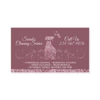 Cleaning Maid Janitorial sparkle swing
