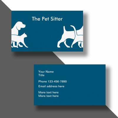 Clever Pet Sitter  Design