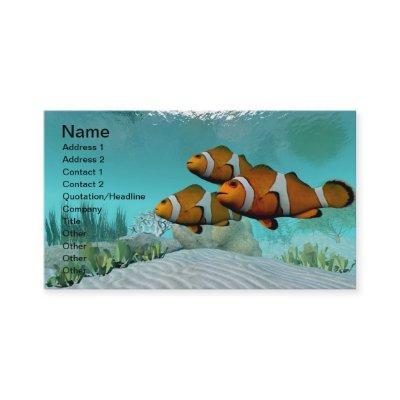 Clown Fish