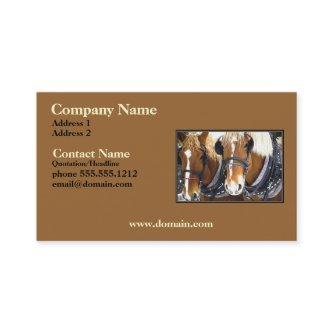 Clydesdale Draft Horse