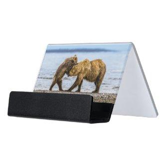 Coastal brown bears desk  holder