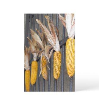 cob on gate