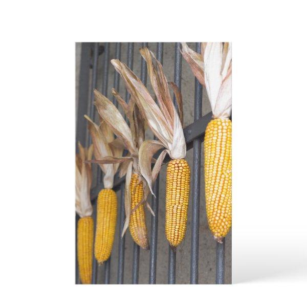 cob on gate