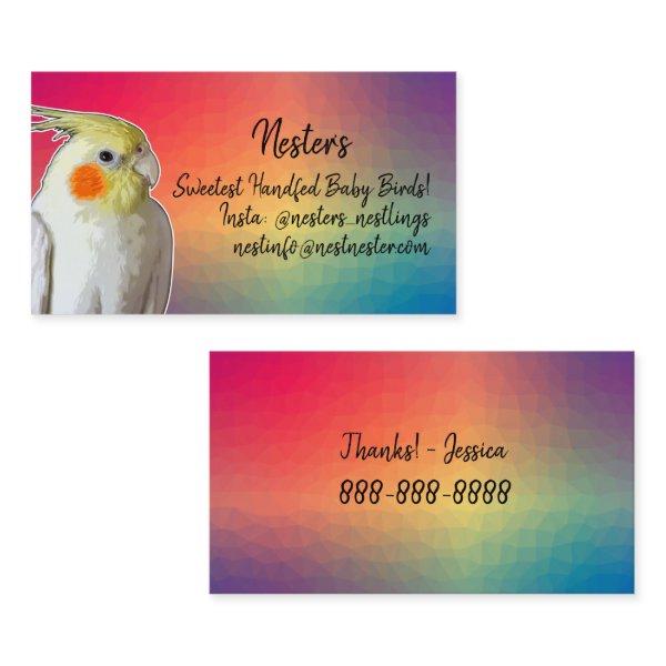 Cockatiel Pet Bird Parrot Breeder Aviary Colorful