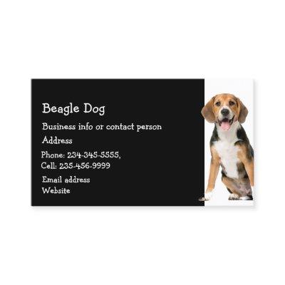 Cocker Spaniel  Dog Breeder Pet Sitter