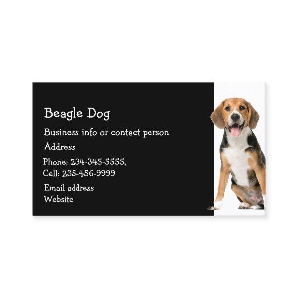 Cocker Spaniel  Dog Breeder Pet Sitter