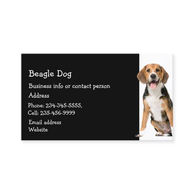 Cocker Spaniel Dog Breeder Pet Sitter