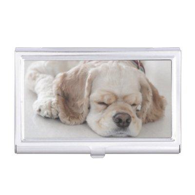 Cocker spaniel dog sleeping  holder