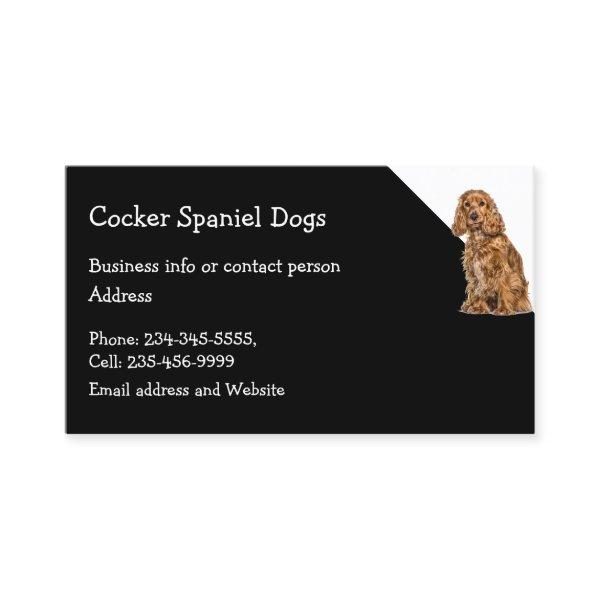 Cocker Spaniel Dogs Breeder Pet Sitter