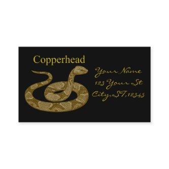 Coiled Copperhead Snake Thunder_Cove
