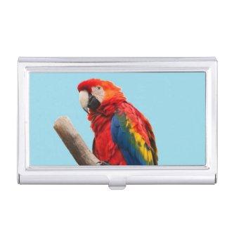 Colorful Parrot Portrait Photo  Case