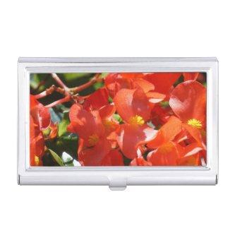Colorful Red Begonia Flower Photo  Holder