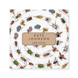 Colorful Vintage Bugs & Beetles Pattern Square
