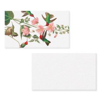 Columbian Humming by John James Audubon