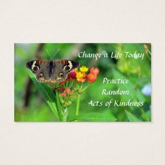 Common Buckeye Random Acts of Kindness Cards