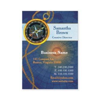 Compass Blue Professional