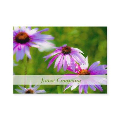 Coneflowers Beautiful Floral