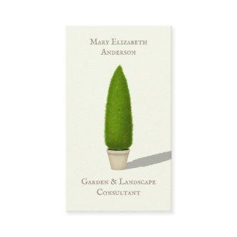 Conical Topiary Charming Nostalgic Style