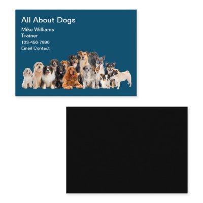 Cool Modern Dog Trainer New