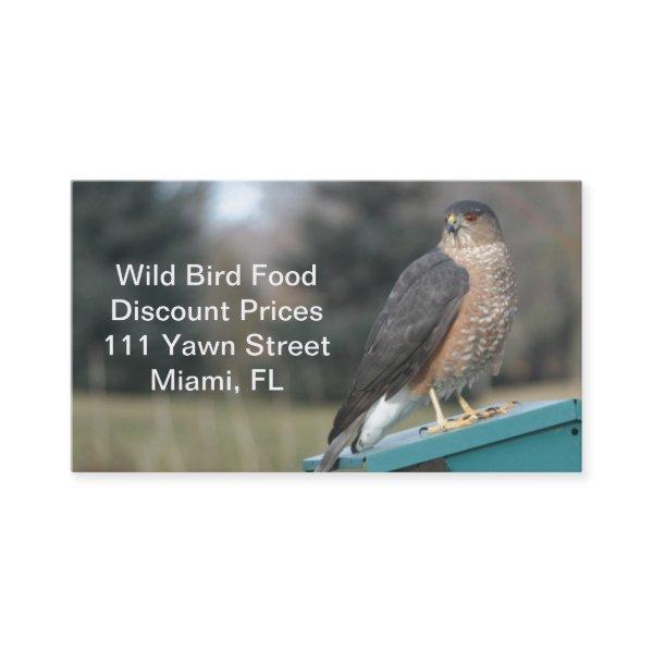 Coopers Hawk