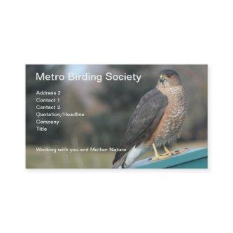 Cooper's Hawk Photo Appointment Card