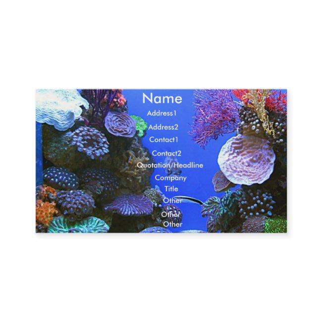 Coral