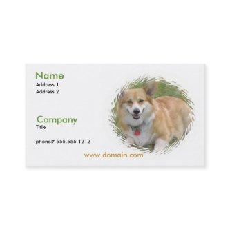 Corgi