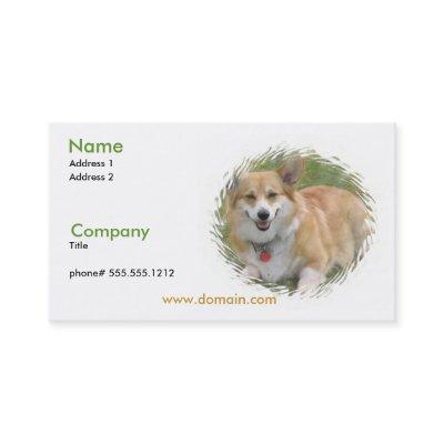 Corgi