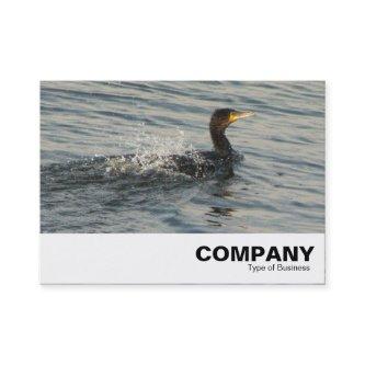Cormorant Learning to Swim