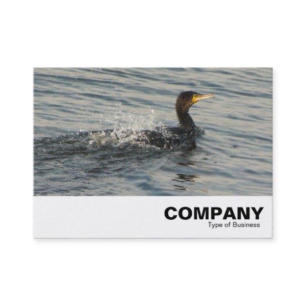 Cormorant Learning to Swim