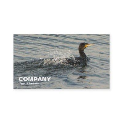 Cormorant Learning to Swim
