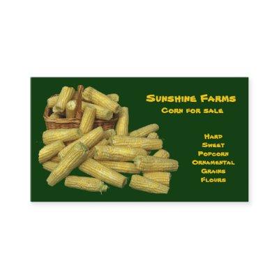 Corn for Sale