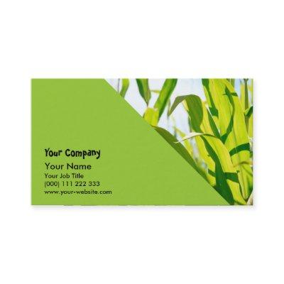 Corn leaves