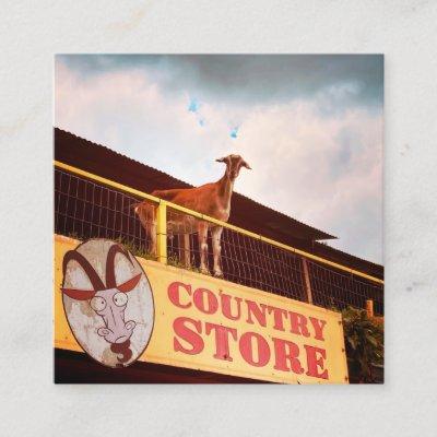 country store goat on the roof square