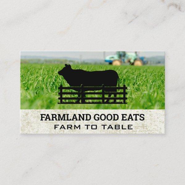 Countryside Livestock | Farmland Grass
