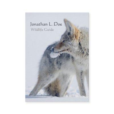 Coyote in Snow Wildlife Guide, Ecologist