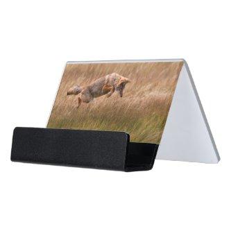 Coyote Leaping - Gibbon Meadows Desk  Holder