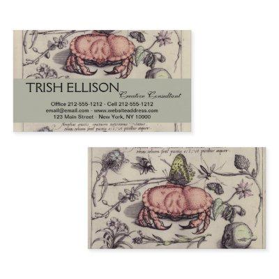 Crab Botanical Insect Flower Illustration