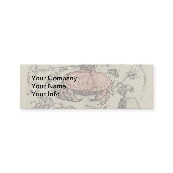 Crab Botanical Insect Flower Illustration Mini