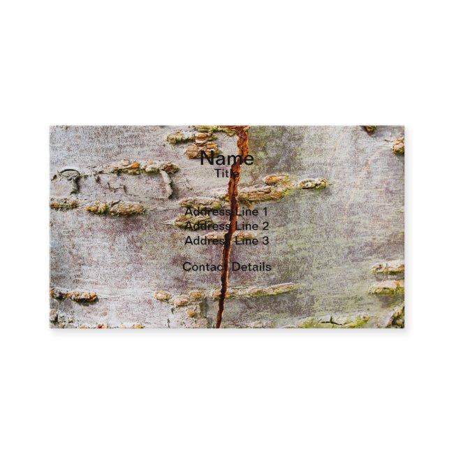 Cracked Birch Bark