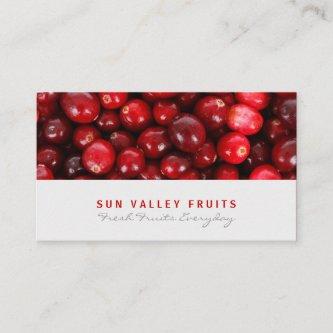 Cranberries Closeup Fruit Wholesale Retail