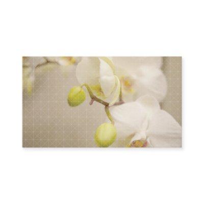 CROSS-HATCH DESIGN with ORCHIDS