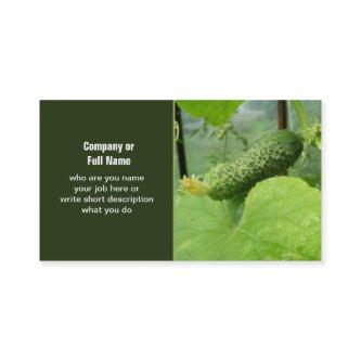 cucumber