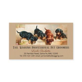 Custom Adorable Cute Dachshund Puppy Pet Grooming