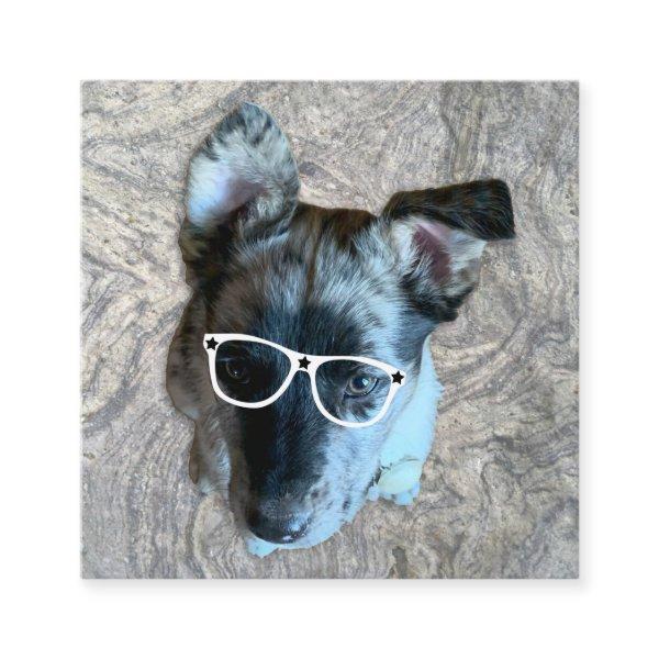Custom Animal Care Profession Add Your Photo Square