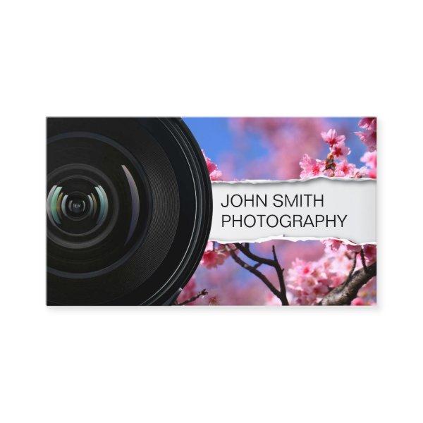 Custom Background Photography