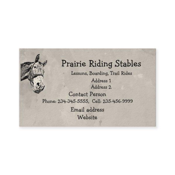 Custom Horse Riding Trail Riding Stable Humor