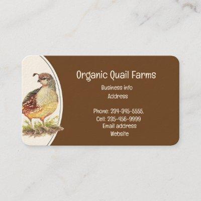 Custom Organic Quail Bird Eggs Farm  Animal