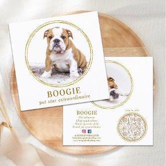 Custom Photo Elegant Gold Dog Pet Social Media  Square